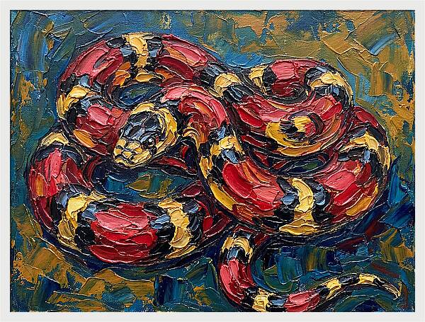 King Snake In Vibrant Colors