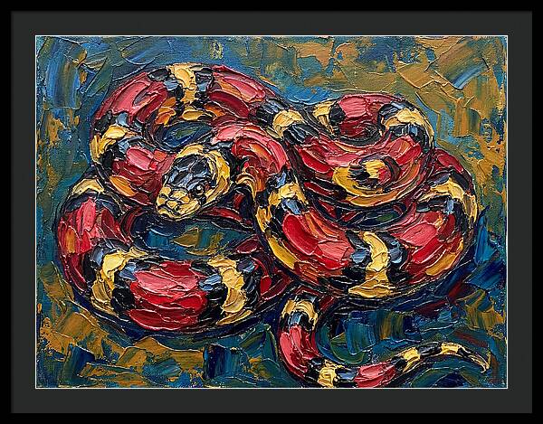 King Snake In Vibrant Colors