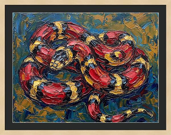 King Snake In Vibrant Colors