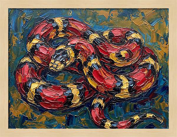 King Snake In Vibrant Colors