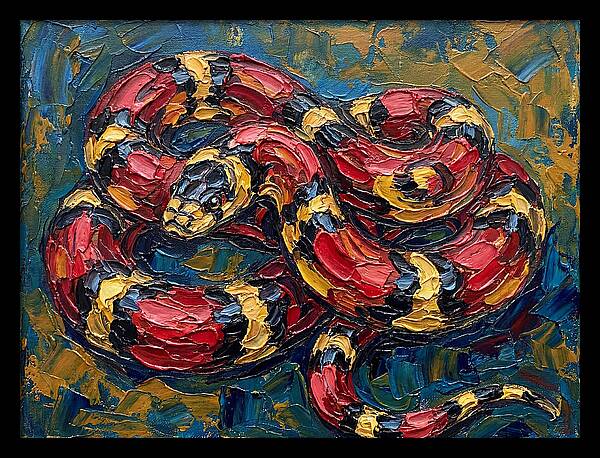 King Snake In Vibrant Colors
