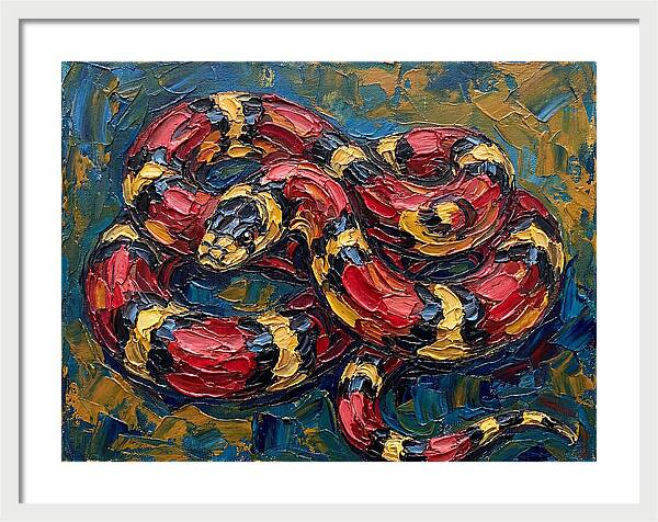 King Snake In Vibrant Colors