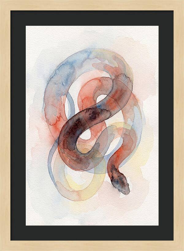 King Snake Watercolor Elegance