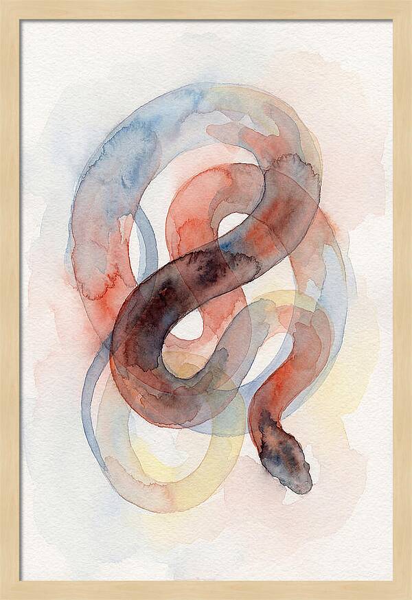 King Snake Watercolor Elegance