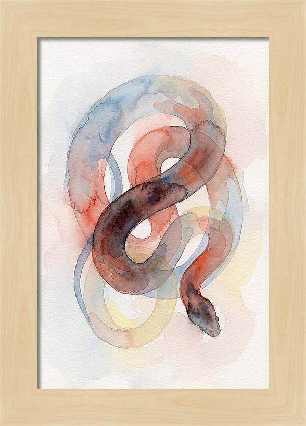 King Snake Watercolor Elegance
