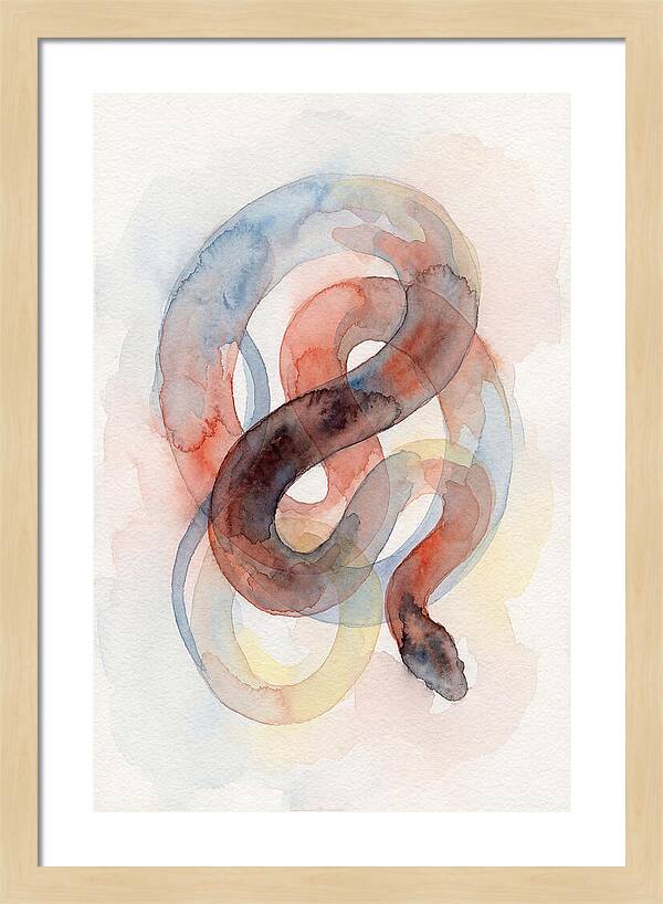 King Snake Watercolor Elegance