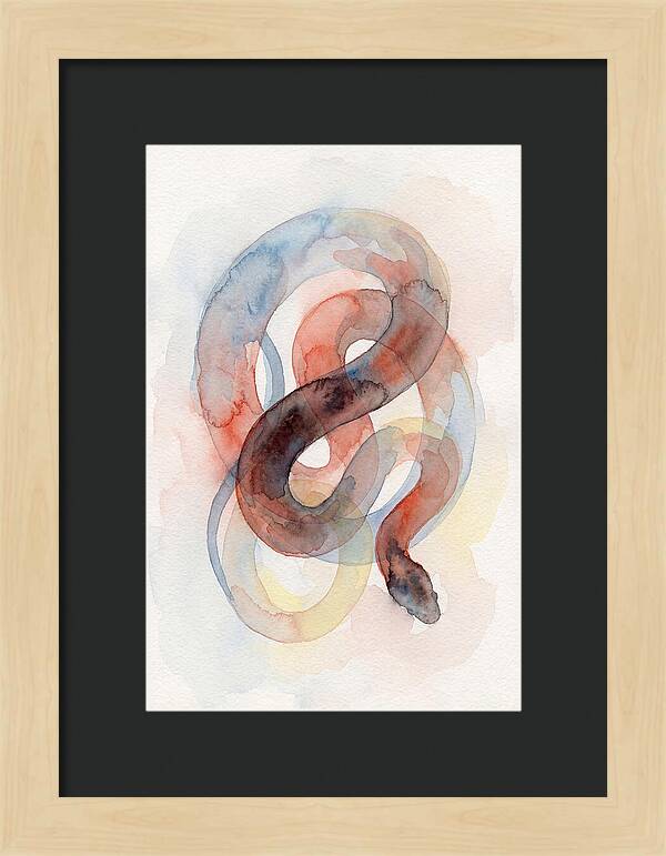 King Snake Watercolor Elegance