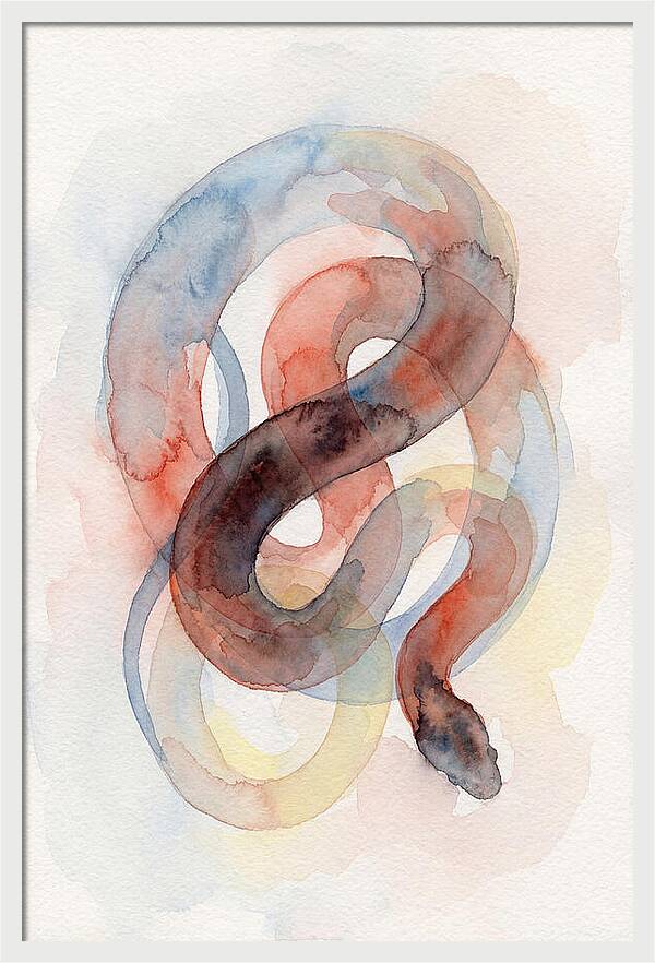 King Snake Watercolor Elegance