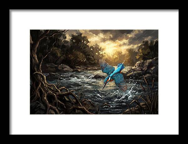 Kingfisher Diving For Fish