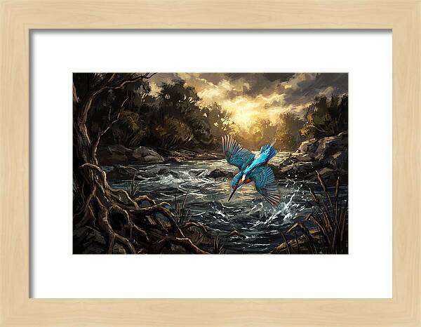 Kingfisher Diving For Fish