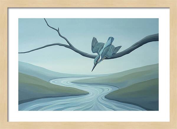 Kingfisher Diving Into Stream