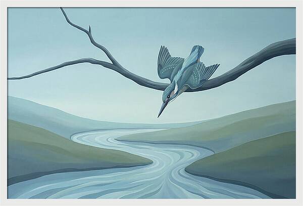 Kingfisher Diving Into Stream