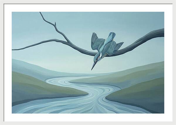 Kingfisher Diving Into Stream