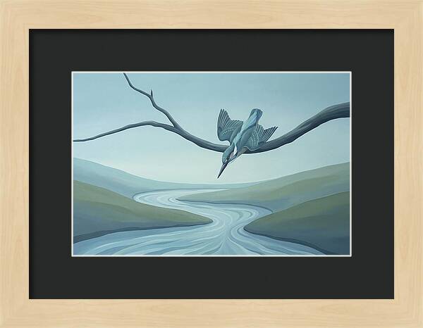 Kingfisher Diving Into Stream