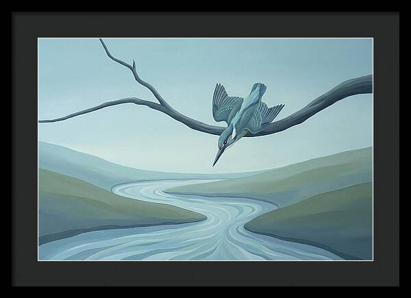 Kingfisher Diving Into Stream