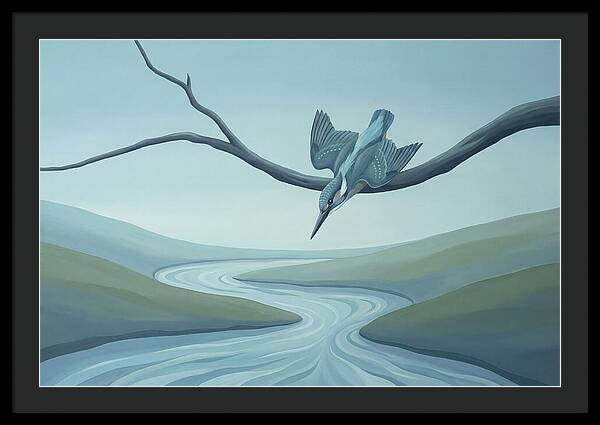 Kingfisher Diving Into Stream