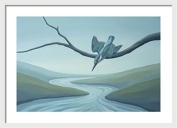 Kingfisher Diving Into Stream