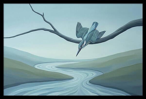 Kingfisher Diving Into Stream
