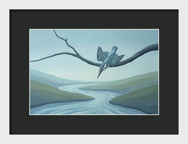 Kingfisher Diving Into Stream