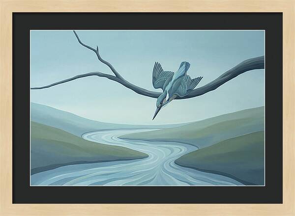 Kingfisher Diving Into Stream