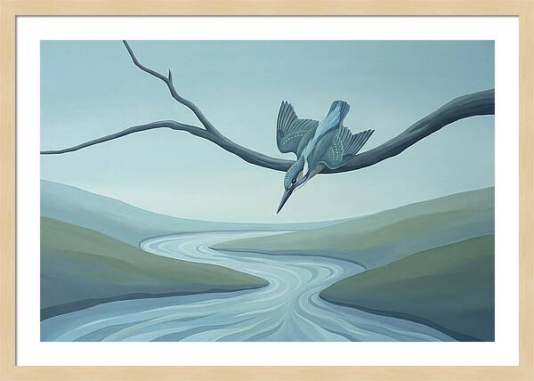 Kingfisher Diving Into Stream