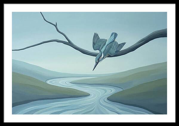 Kingfisher Diving Into Stream