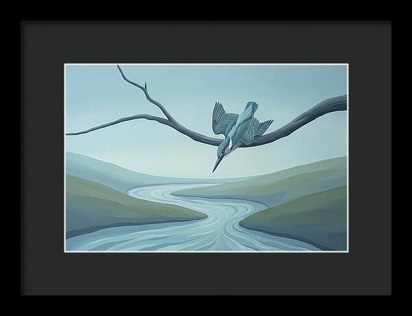 Kingfisher Diving Into Stream