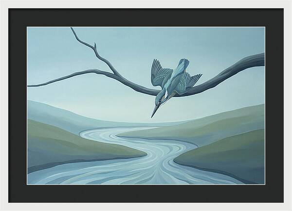 Kingfisher Diving Into Stream