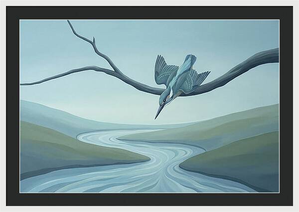 Kingfisher Diving Into Stream