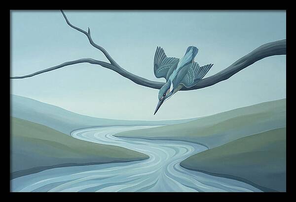 Kingfisher Diving Into Stream