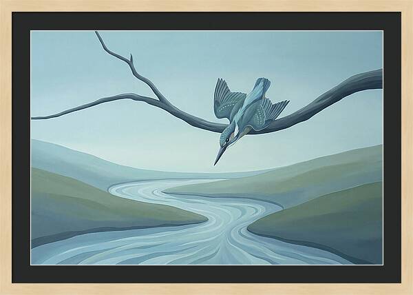 Kingfisher Diving Into Stream