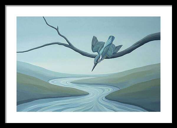 Kingfisher Diving Into Stream