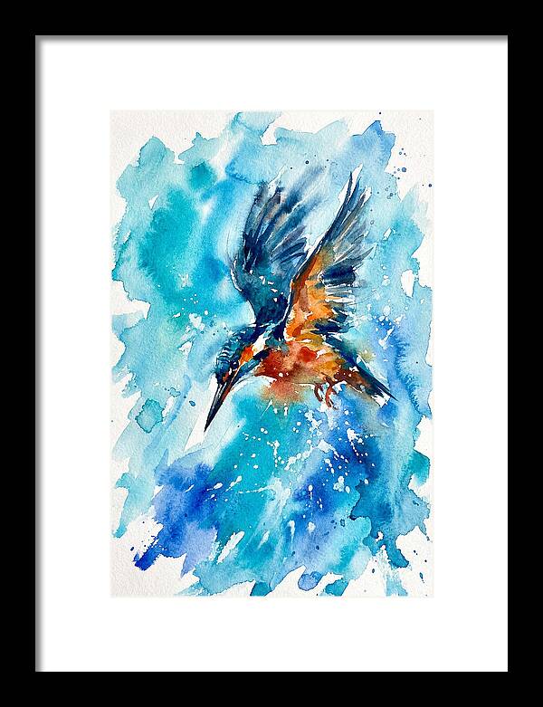 Kingfisher In Flight