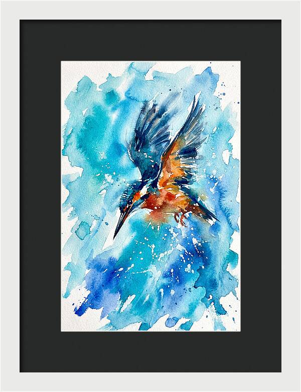 Kingfisher In Flight