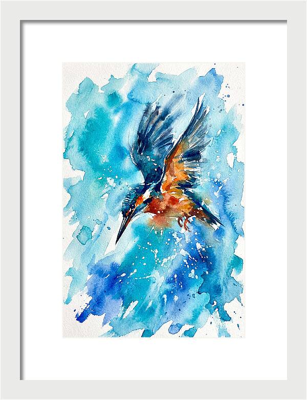 Kingfisher In Flight