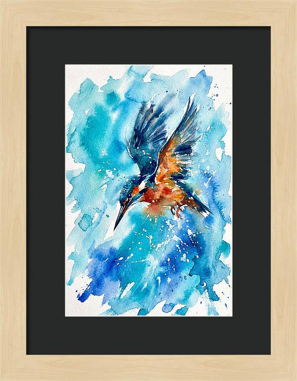Kingfisher In Flight