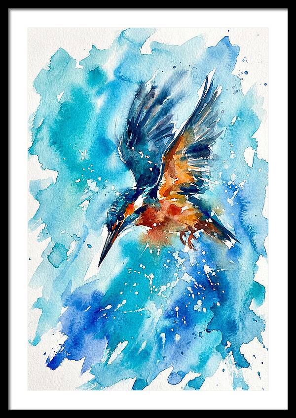 Kingfisher In Flight