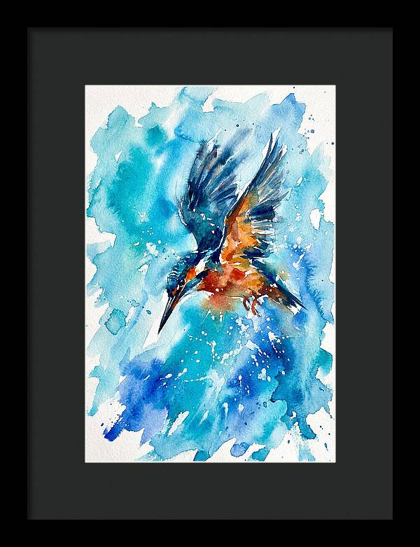 Kingfisher In Flight