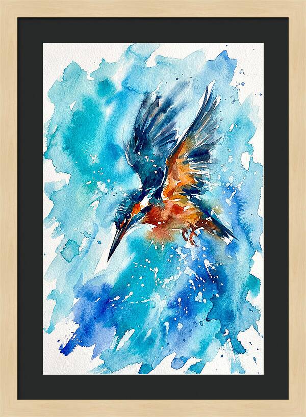 Kingfisher In Flight