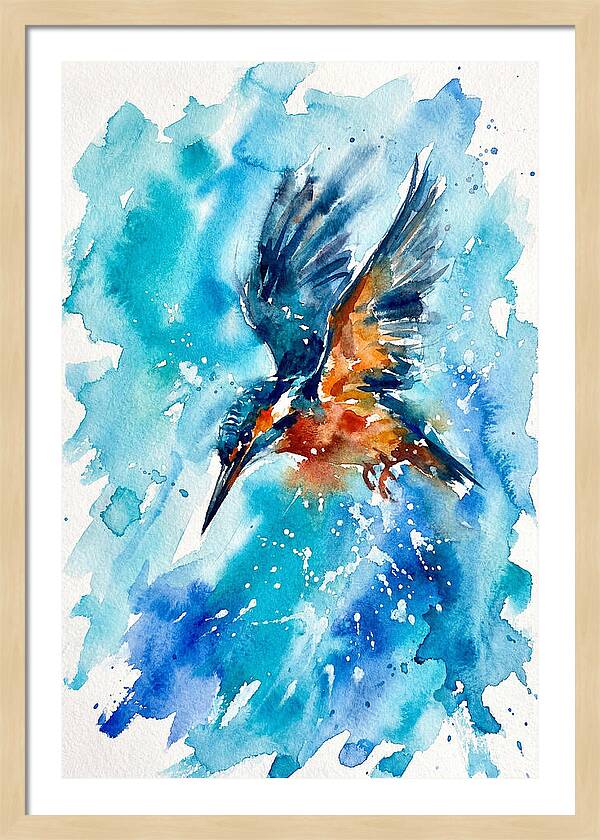 Kingfisher In Flight