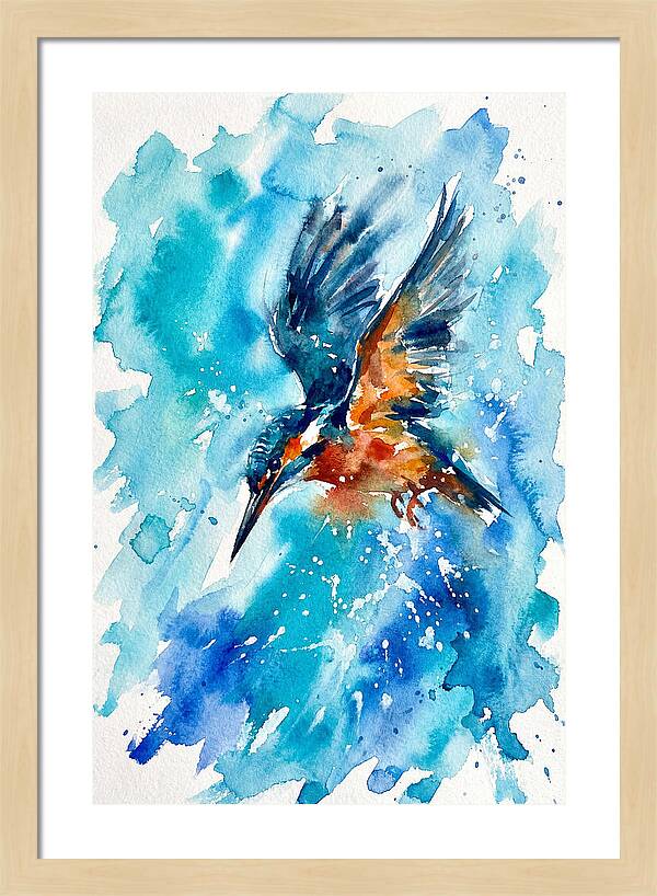 Kingfisher In Flight
