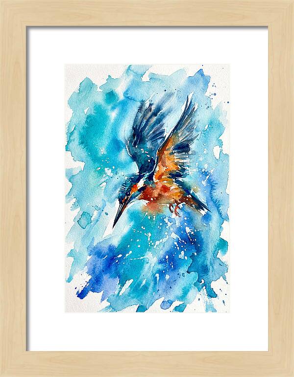 Kingfisher In Flight