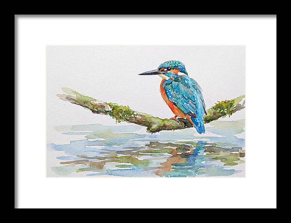 Kingfisher Perched By Water