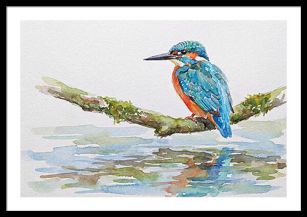 Kingfisher Perched By Water