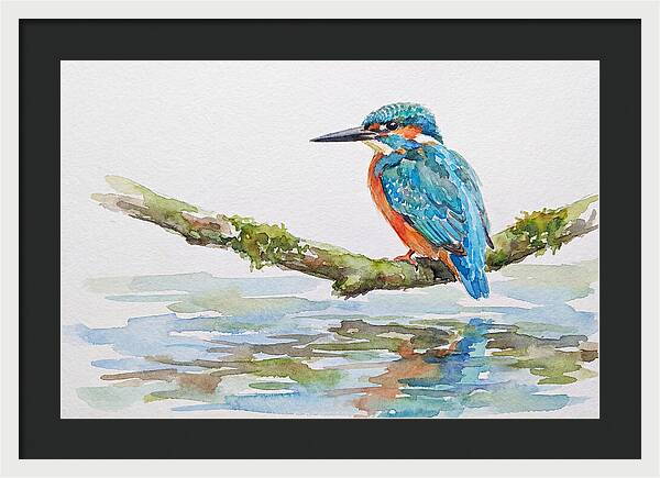 Kingfisher Perched By Water
