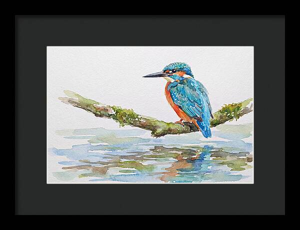 Kingfisher Perched By Water