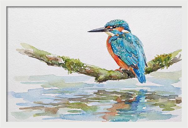 Kingfisher Perched By Water