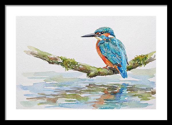 Kingfisher Perched By Water