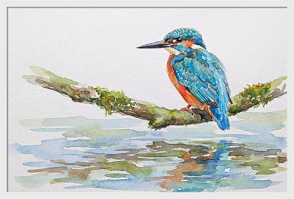 Kingfisher Perched By Water