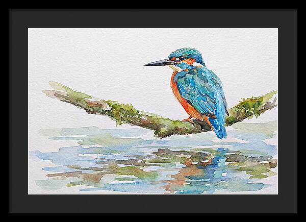 Kingfisher Perched By Water